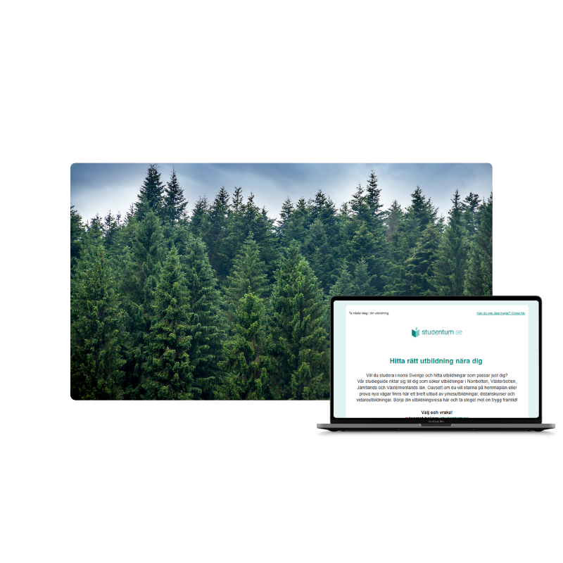 studieguide på laptop norrland